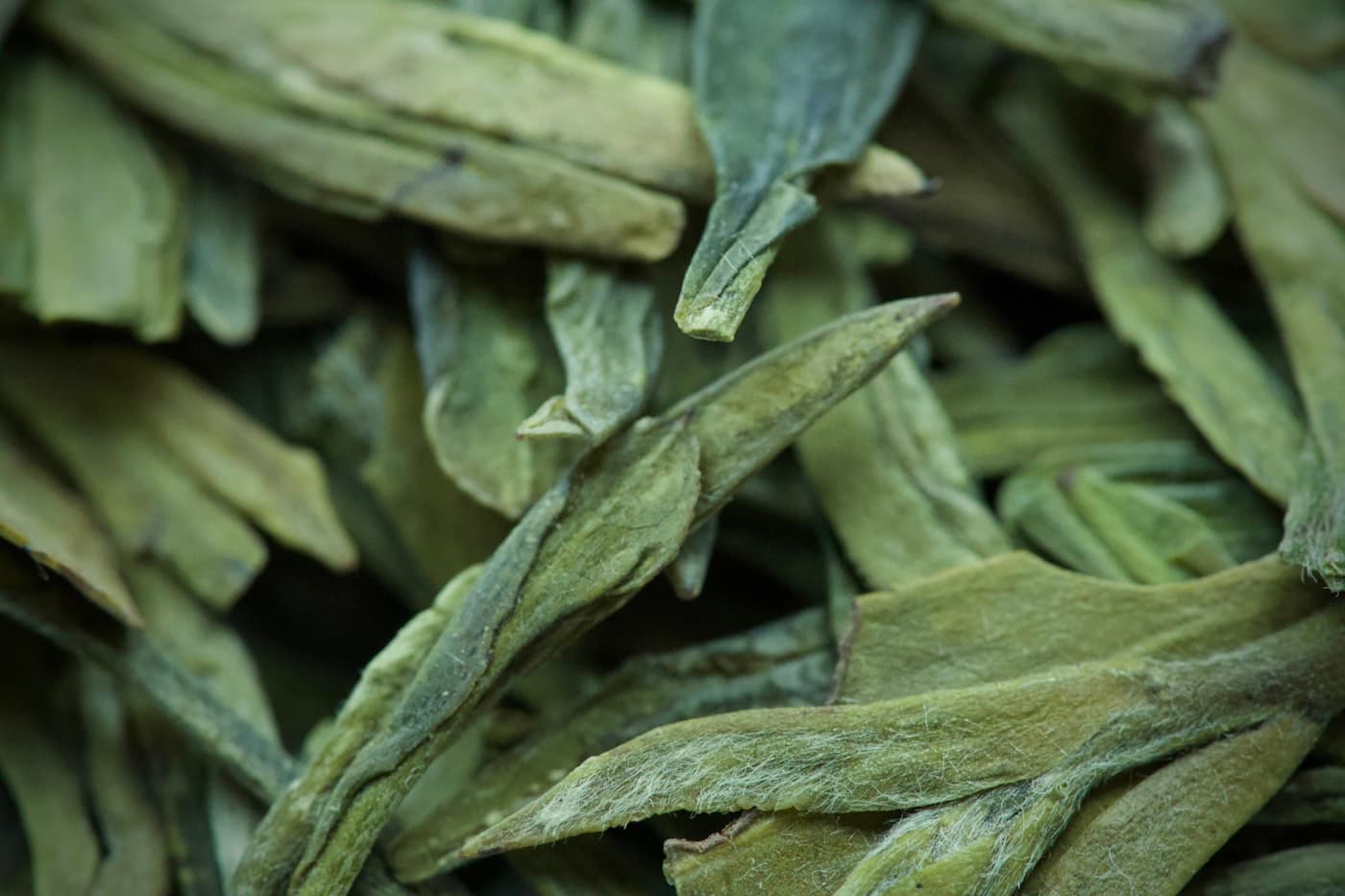 高山烏龍茶葉特寫